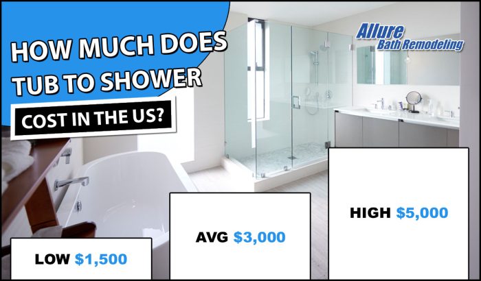 tub-to-shower-conversion-cost tub-to-shower-conversion-cost